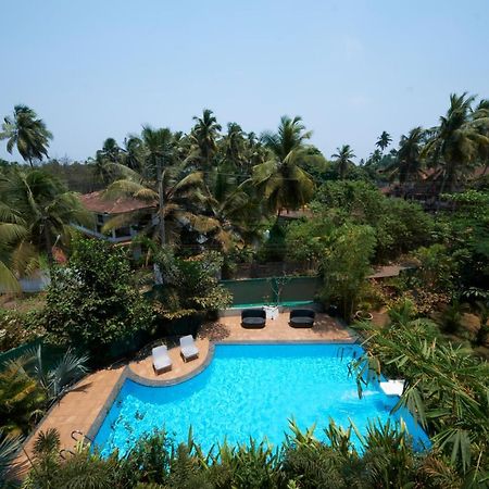 Fig House Anjuna-Chapora Road , Siolim 1Bhk Suite Oxel Kültér fotó
