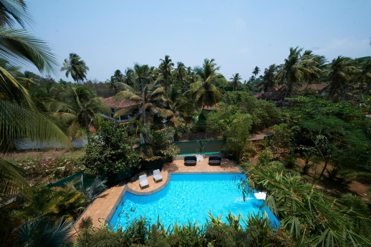 Fig House Anjuna-Chapora Road , Siolim 1Bhk Suite Oxel Kültér fotó