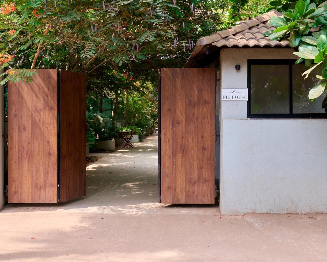 Fig House Anjuna-Chapora Road , Siolim 1Bhk Suite Oxel Kültér fotó